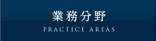 業務分野